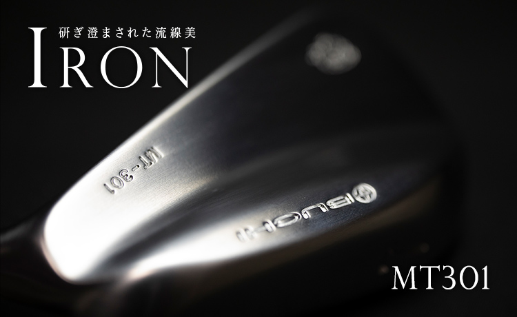 BUCHI MT301